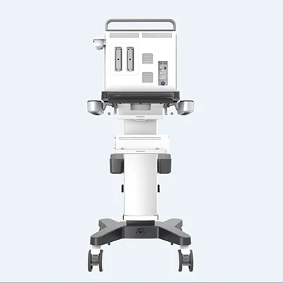 CHISON EBit 30 Vet - Imagen 2