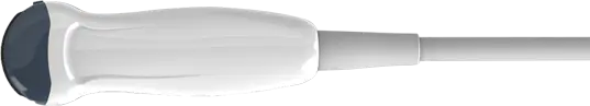 ecografo veterinario